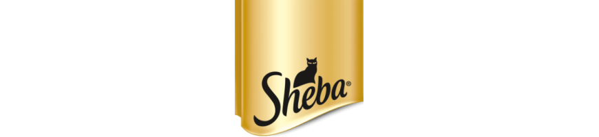 Sheba 